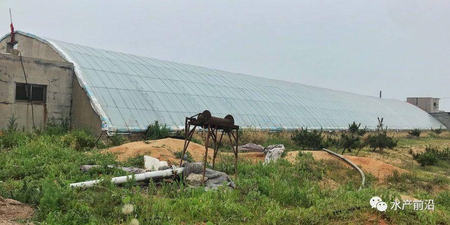 出虾27斤/立方,连续三造成功后,工厂化养虾在他看来并不难! 出虾27斤/立方,连续三造成功后,工厂化养虾在他看来并不难!